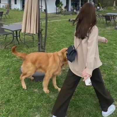 寸草心