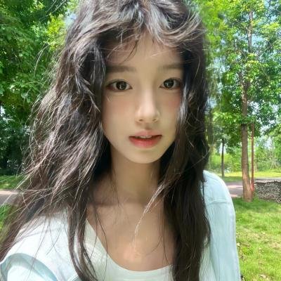 领头羊