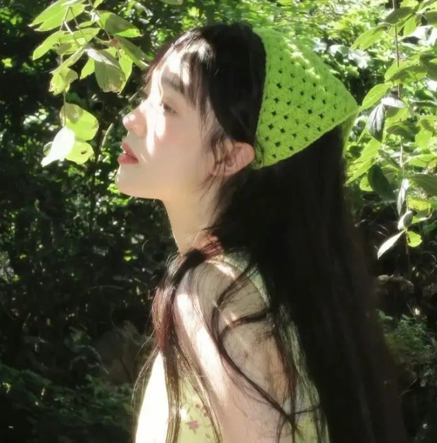 鸟类人间